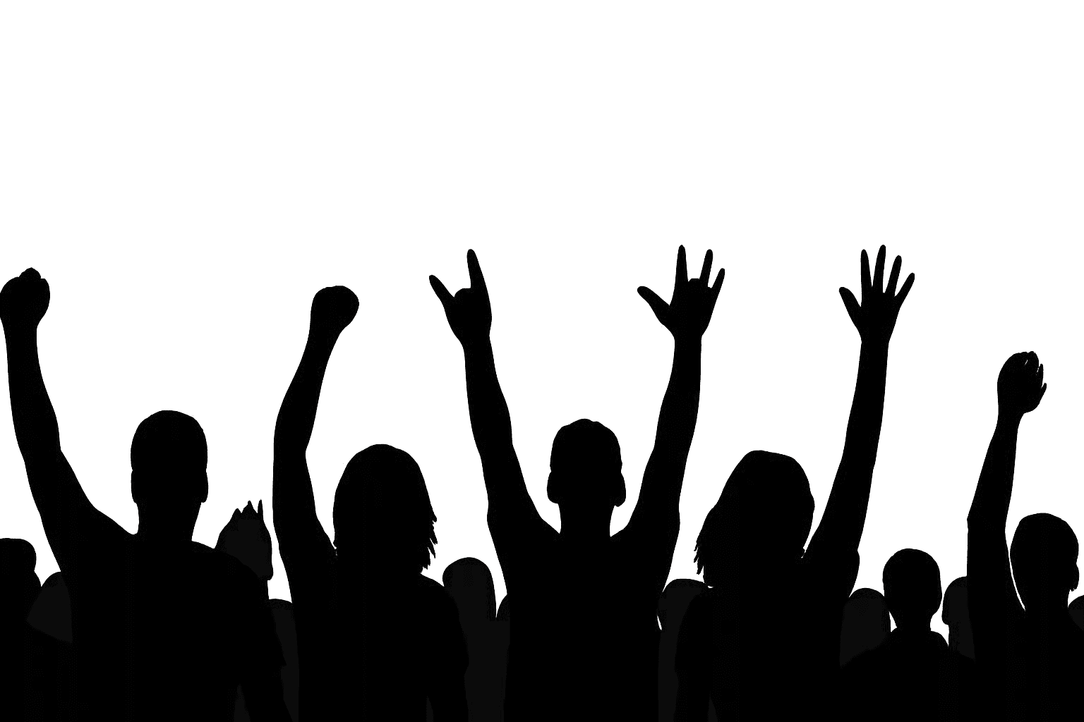 Festival crowd silhouette